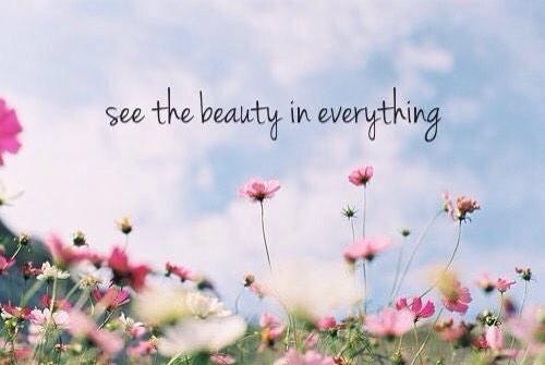 beauty everything